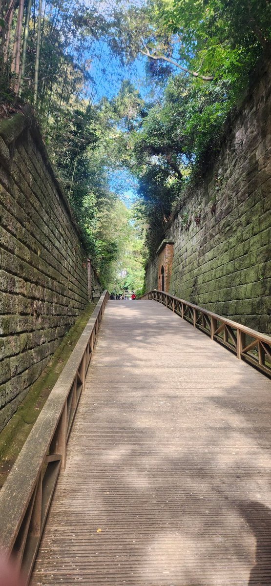 chuukamanraku's tweet image. 18日(火)・19日(水)は定休日で連休になります

今日は嫁ちゃんと東京湾唯一の自然島へ島流し😨🏝️
海を見るとつい釣りがしたくなる😁
#伊奈町　#神奈川　#横須賀
#無人島　#猿島