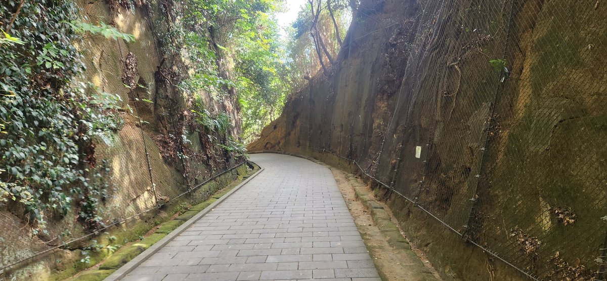 chuukamanraku's tweet image. 18日(火)・19日(水)は定休日で連休になります

今日は嫁ちゃんと東京湾唯一の自然島へ島流し😨🏝️
海を見るとつい釣りがしたくなる😁
#伊奈町　#神奈川　#横須賀
#無人島　#猿島