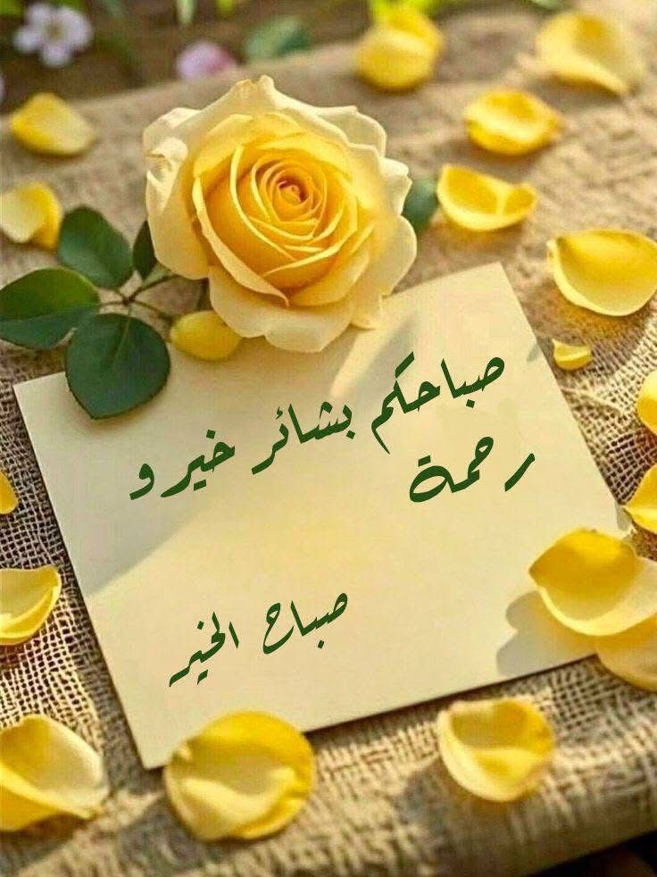 alibinmasoad's tweet image. 