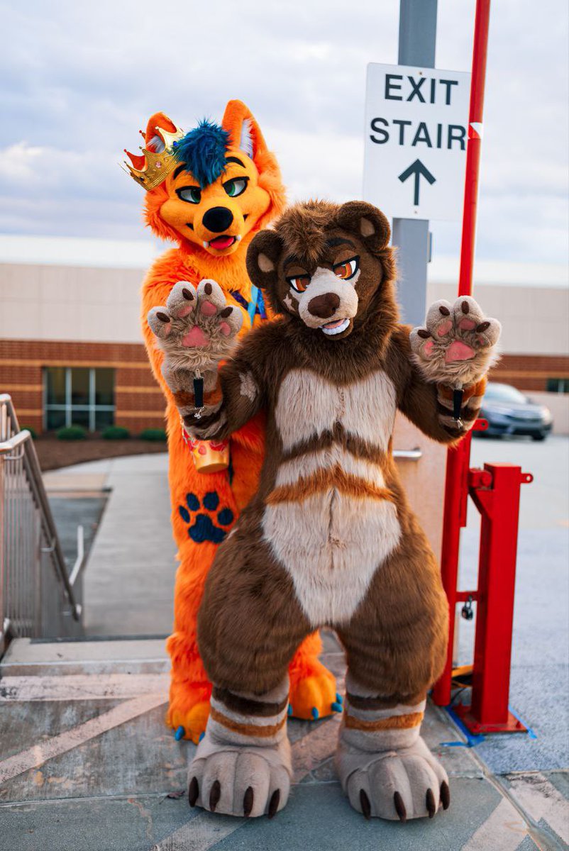 SumDingo🔜FWA (@sumdingofl) on Twitter photo 