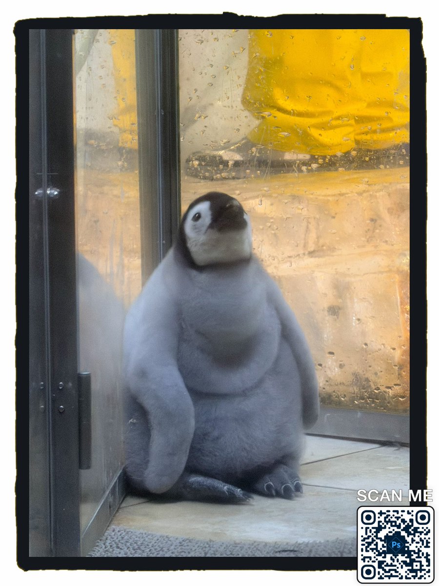 S__Field__'s tweet image. このお腹の…たるんって…もふんって…なってるとこがまたたまらなく可愛いすぎるのよ\(//∇//)\