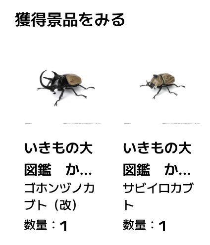 yuckey/ゆっきー (@yuckeymushiking) / Posts / X