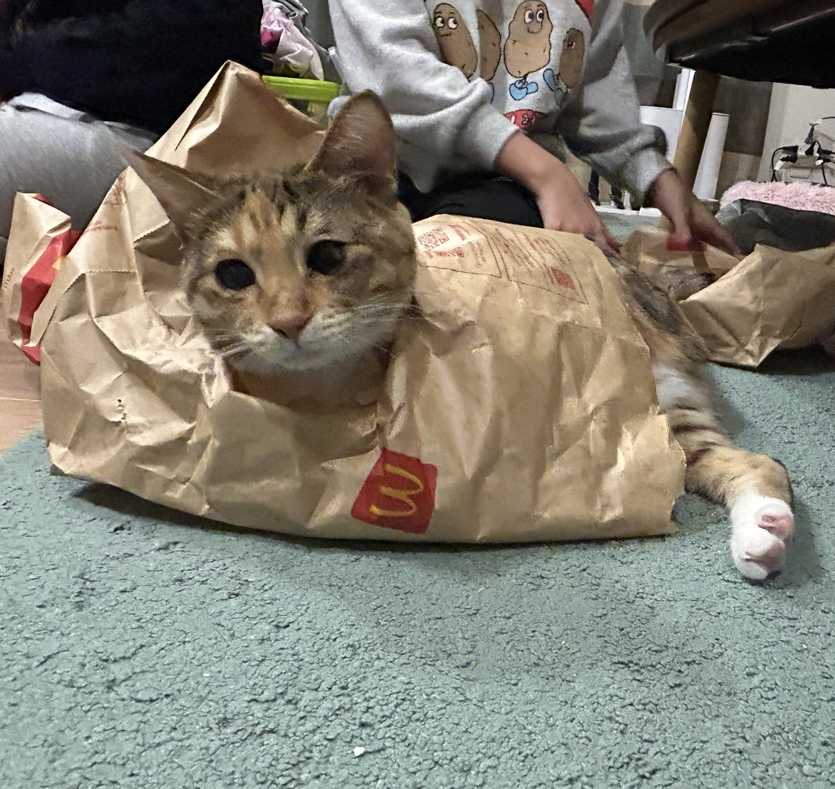 ゆんゆん☺︎ (@yunyun_a118) / Posts and Replies / X