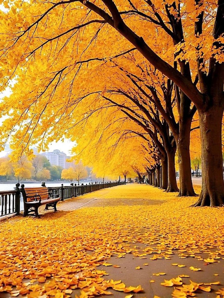 Το φθινόπωρο έχει ένα ρόλο,
να επιδεικνύει τα υπέροχα 
χρώματά του ...
Καλημέρα αγαπημένοι μου🍁
να έχετε μία υπέροχη μέρα!