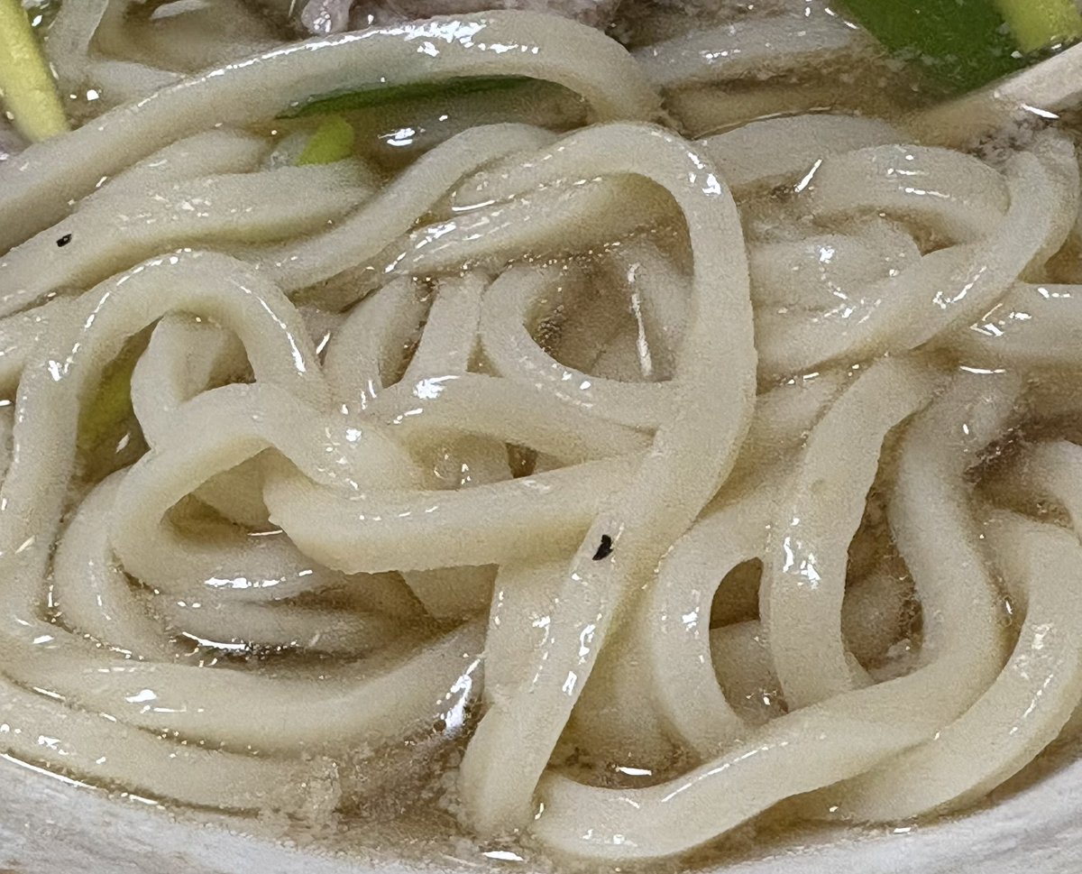 cxgPNEpgwEGxpel's tweet photo. お昼🕛に久々のこちらへ。相変わらずの絶品うどん。新設の駐車場🅿️大活躍！
夜営業復活を切に願う。食後、春日部TSUTAYAに行く途中裏道で40キロ道路を60キロ走行2点減点。罰金¥15000だとよ。チキショウ！
＃自家製うどんもりた
＃鶏南蛮うどん https://t.co/kAkM6X3trx