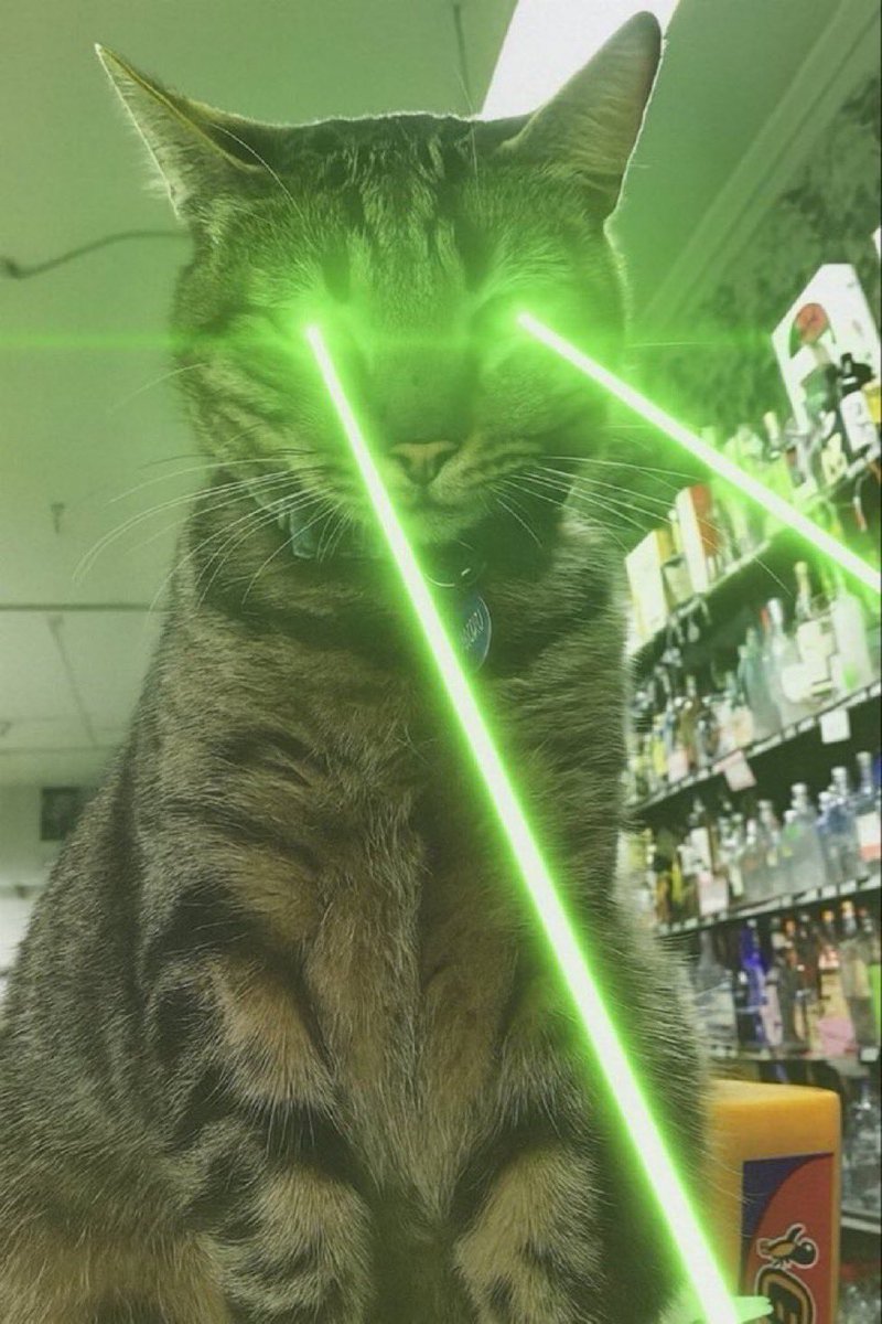 rememberkitkat's tweet photo. Only $KITKAT can save crypto right now. https://t.co/rIvLORU5tR