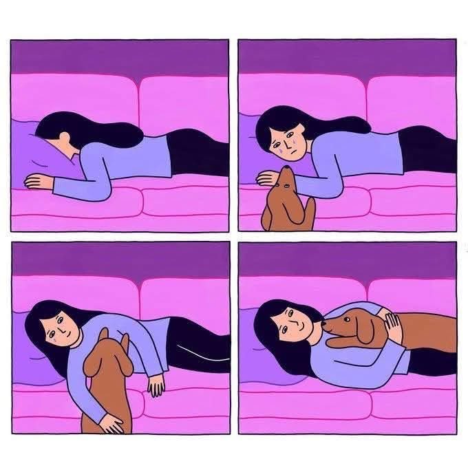 DiloConPerritos's tweet image. Cómo ser feliz en 4 pasos: