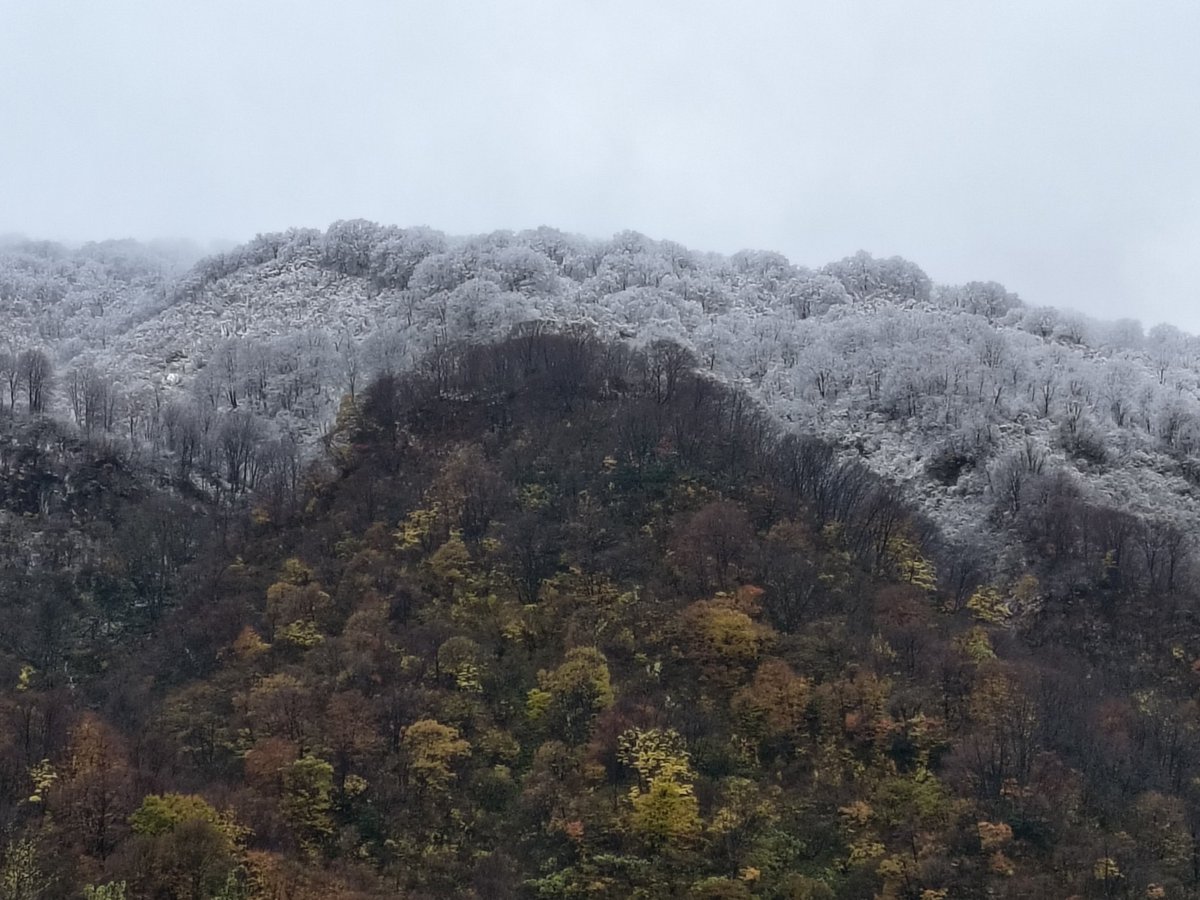 masitasima's tweet photo. 雪と打ち止め https://t.co/6xi17EbOsQ