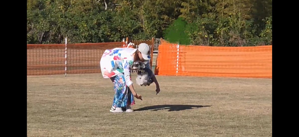 miwa915's tweet photo. ドックダンス競技会ー
去年は仕事で出場できず、、、今年は出場できました！

やったー🙌🏻🏅

#仕事とは無関係
#ただの趣味♪
#ドックダンス https://t.co/Yj5xus1aCm