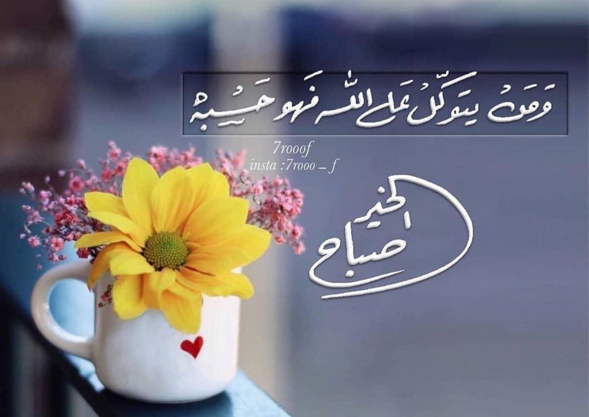 #صباح_الخير 
#صباح_الخير_والسعاده 

﴿وَفِي السَّمَاءِ رِزْقُكُمْ وَمَا تُوعَدُونَ﴾
اللهم ارزقنا من حيث لا نحتسب،
ووسّع لنا أبواب رزقك، وبارك لنا في القليل،
واجعل يومنا هذا بداية فرجٍ وسَعةٍ من فضلك. 🌸🤍🌸