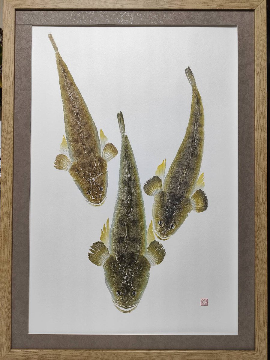 へんな魚おじさん (@_Sakana_Ojisan) / Posts / X