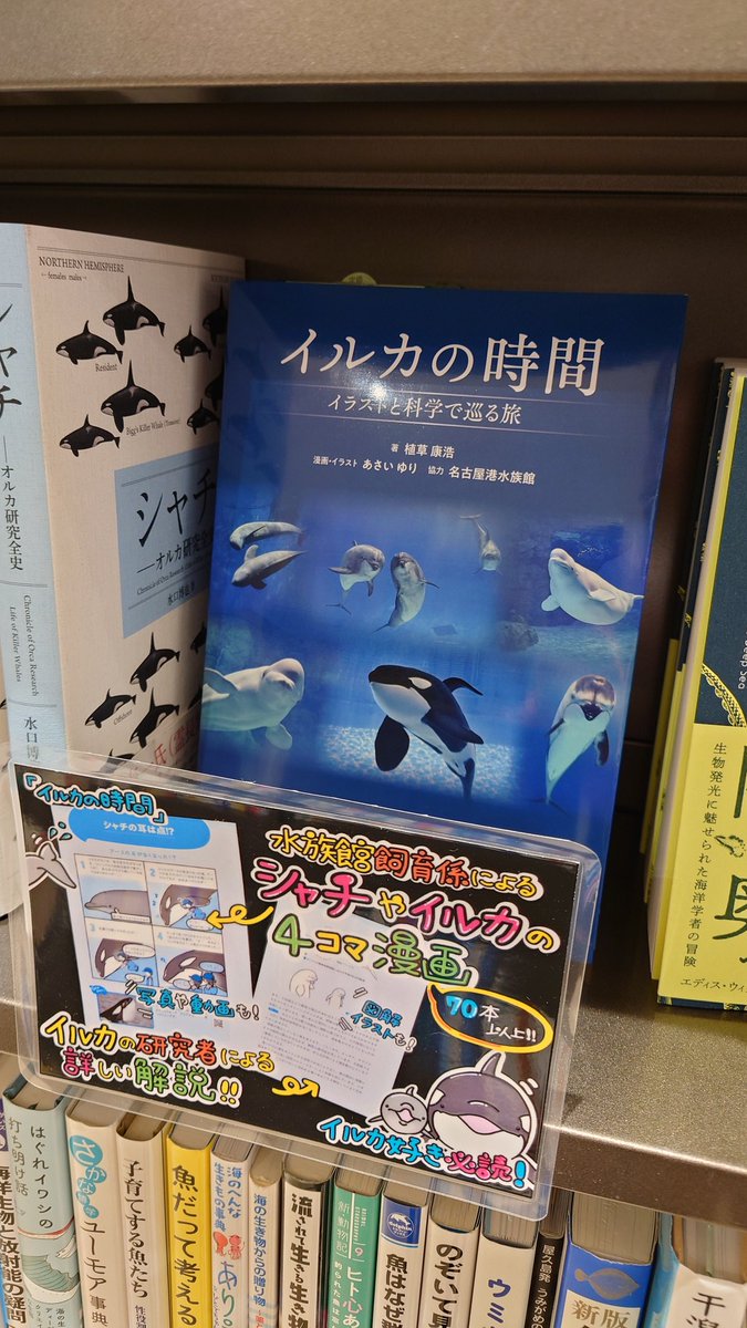 再入荷！】「イルカの時間」植草康浩 学窓社 水族館のイルカの話から