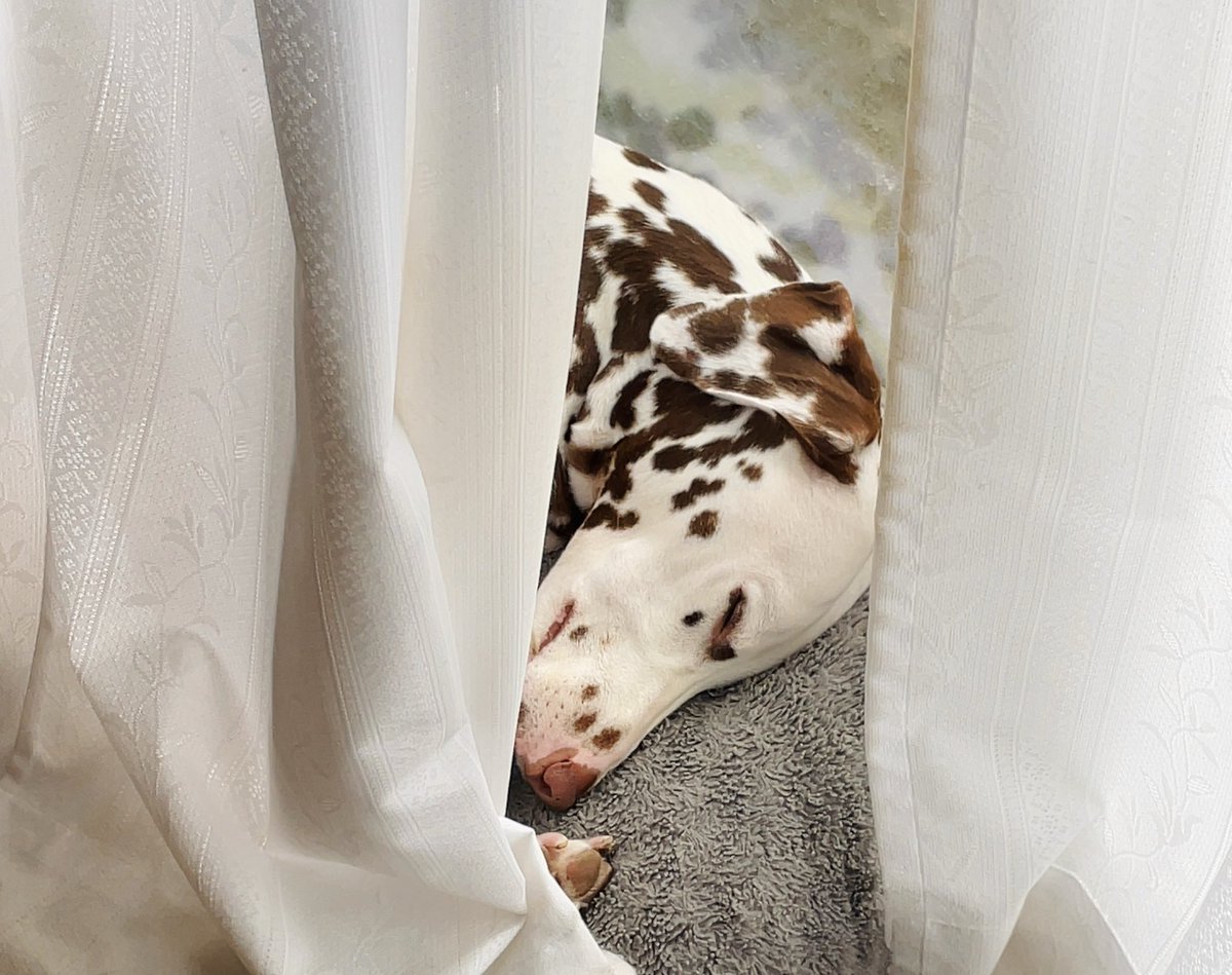 manaさん専用ページ Mana (@chibimana) / Posts / X