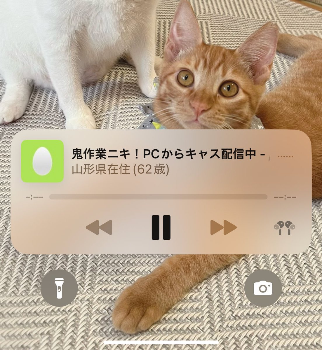 ⭐︎きょん⭐︎ きょん (@kyonCry) / Posts / X