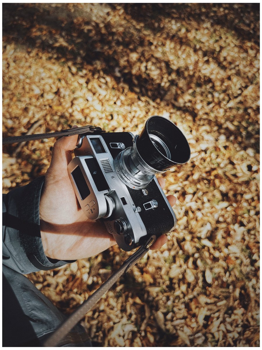 marksbranding's tweet image. ひとつ打ち合わせを終えて。
極寒の沼田まで来たのでお借りしているM4様と軽くフォトスナップ。
どこもかしこも燃えている🍁

#Dazz