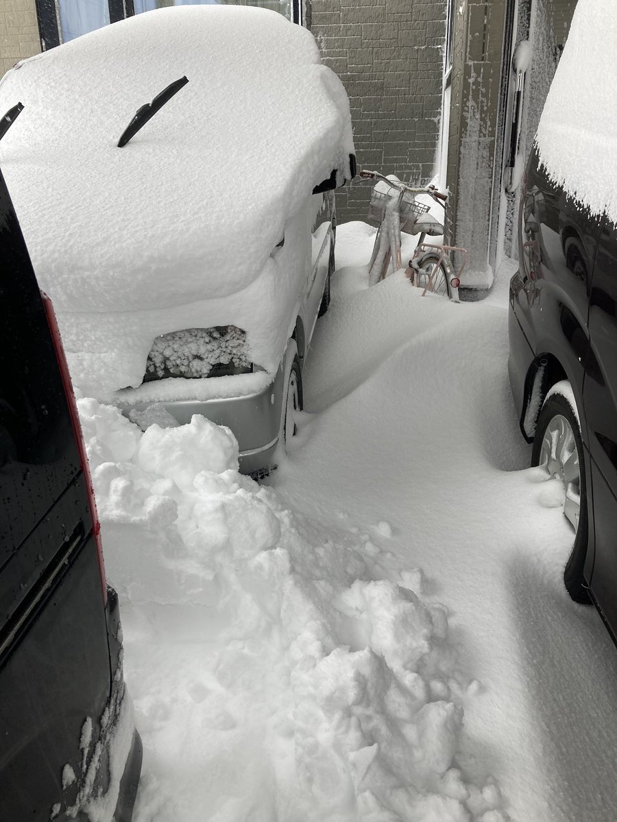 矢部（仮名） tweet media