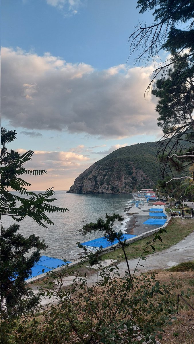 Партенит