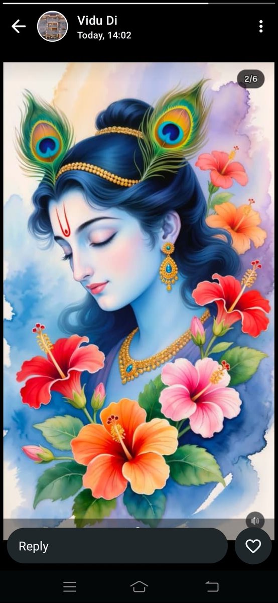Jai shree Krishna