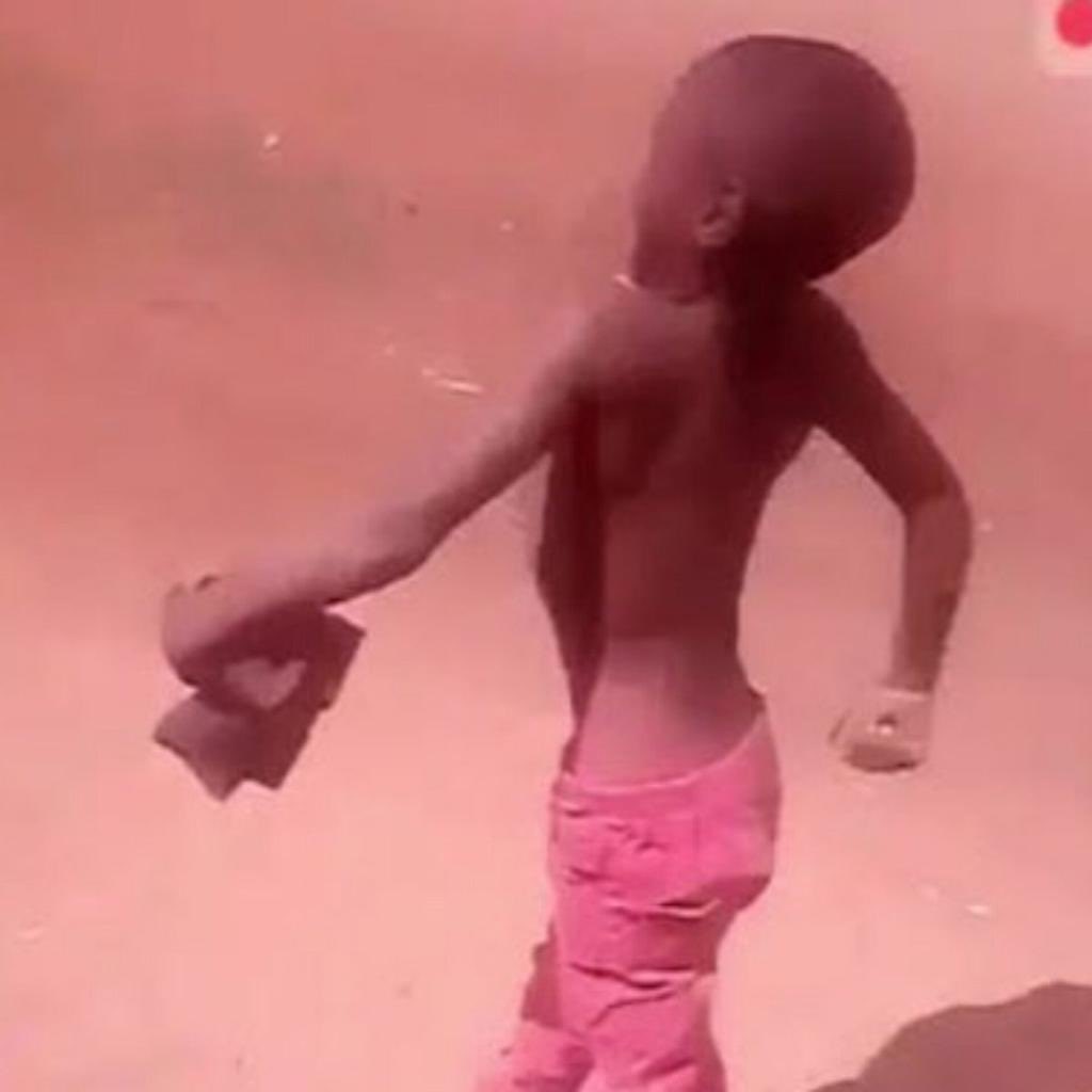 TheWebVector's tweet image. GM
 Retweet for follow back