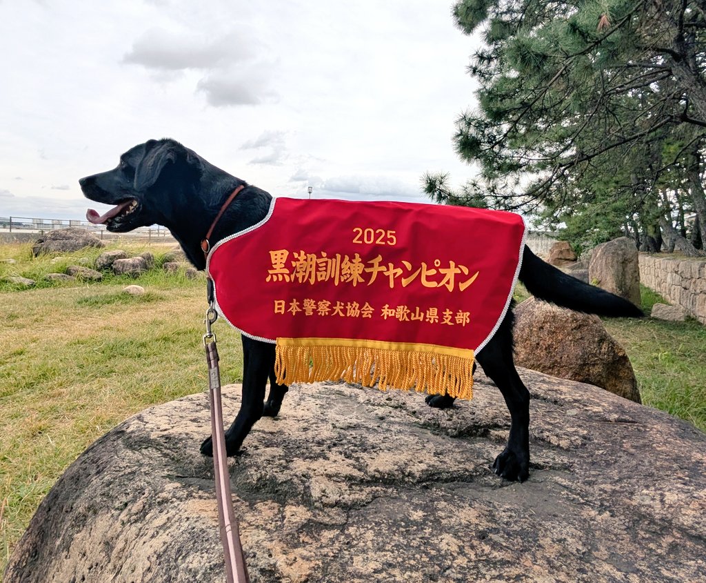 🌻メル🐕‍🦺 (@rossI1218816) / Posts / X