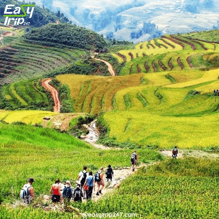 247easytrip's tweet photo. Ideal Months for Trekking in Sapa, Vietnam

Details at the blog: https://t.co/R7C1srJpd4

 #easytrip #vietnamitinerary #templeofliteraturehanoi #easytrip247 

Design Your Own Trip Now. Access our website Phone/Whatsapp: +84 975.504.825 https://t.co/KgksCxbGnj