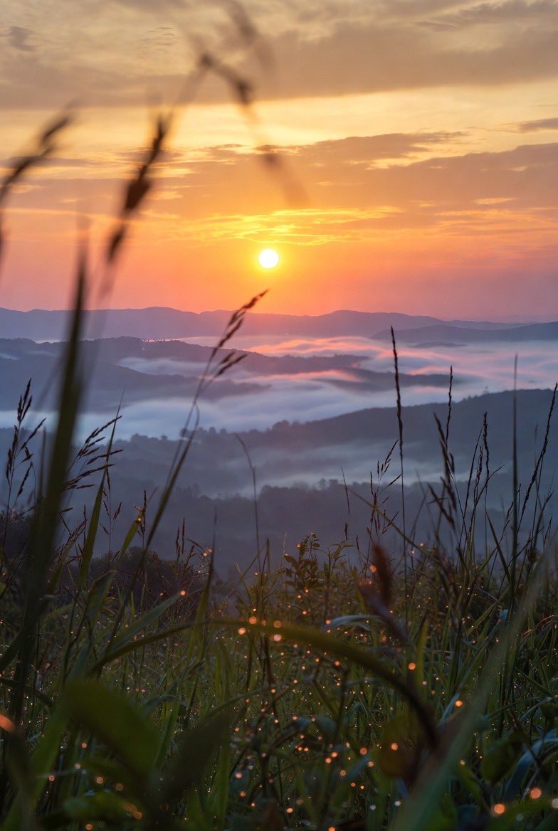 Muhamme30946080's tweet image. GM techies ☕🚀
Let’s learn something new today.

#Tech #DevOps #Cloud #AWS #Docker #Kubernetes #Coding #Programming #100DaysOfCloud #100DaysOfDevOps