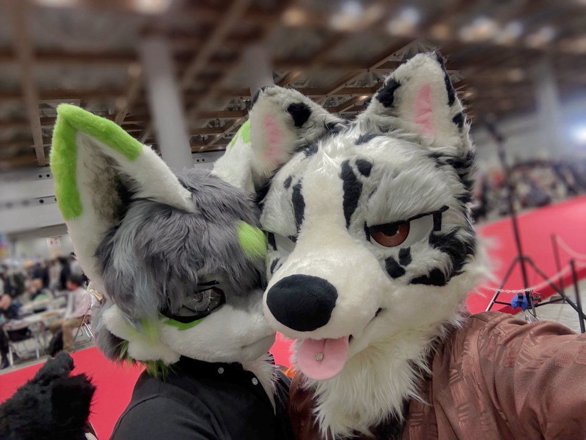 犬伏けんた🐾 (@inuinukenken03) / Posts / X