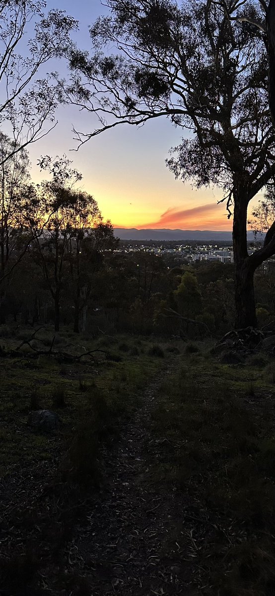 x0_lua's tweet image. go back to sleep 
i think i’ve finally got it all figured out