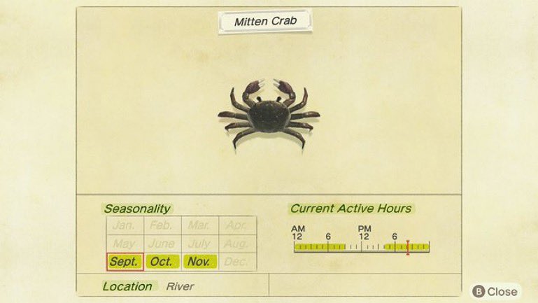 🦀Is There A Crab?🦀 tweet media