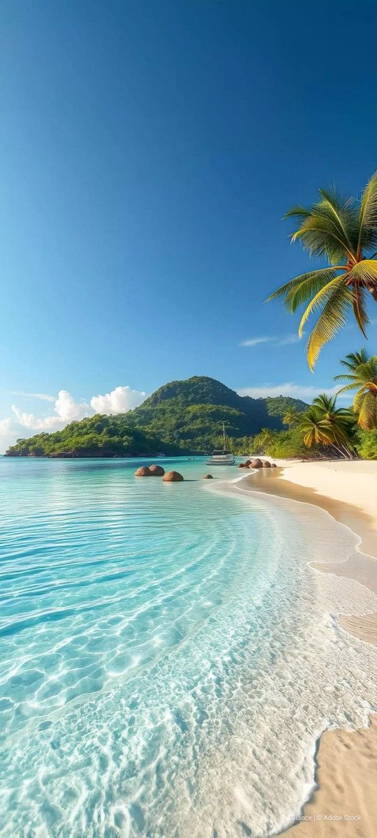 Mysterious Earth (@naturalble91542) on Twitter photo 