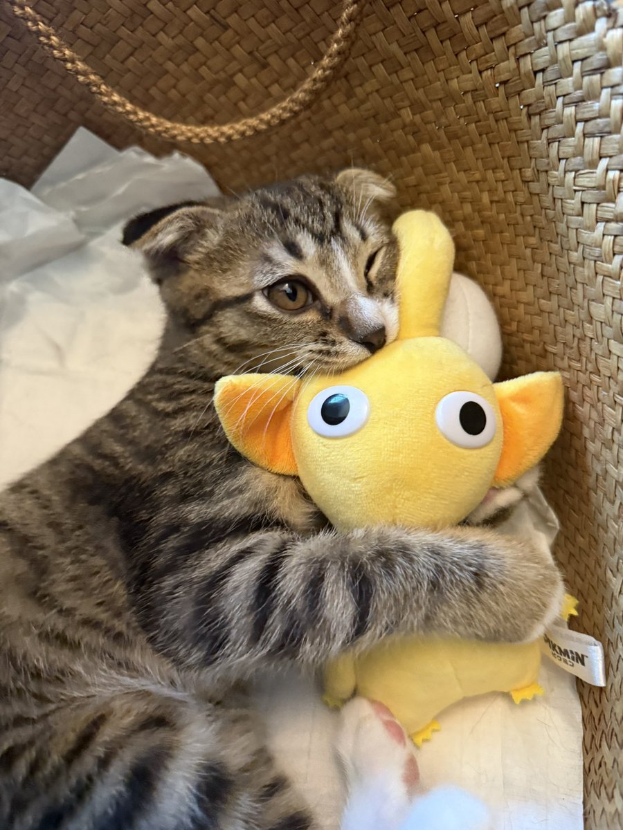 ninseny_'s tweet image. 원주생물 키우기