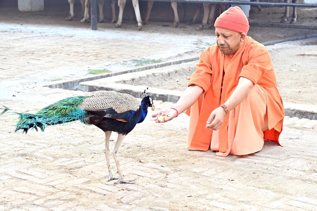 यही है सनातन का मर्म,
यही है भारत का धर्म,
यही है मनुष्यता का कर्म...
