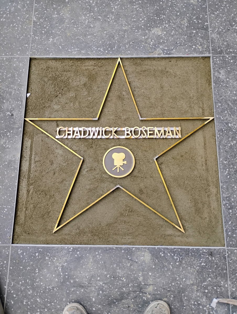 Hollywood Walk of Fame star ceremony on 11/20 at 11:30 am. Speakers will be director Ryan Coogler and actress Viola Davis! Accepting the star will be Chadwick’s wife Simone Ledward Boseman on behalf of the family.  Who is coming? #Blackpanther #marvelcinematicuniverse