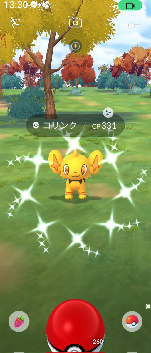 toshiPokego's tweet image. コリンクがキラり✨🤣