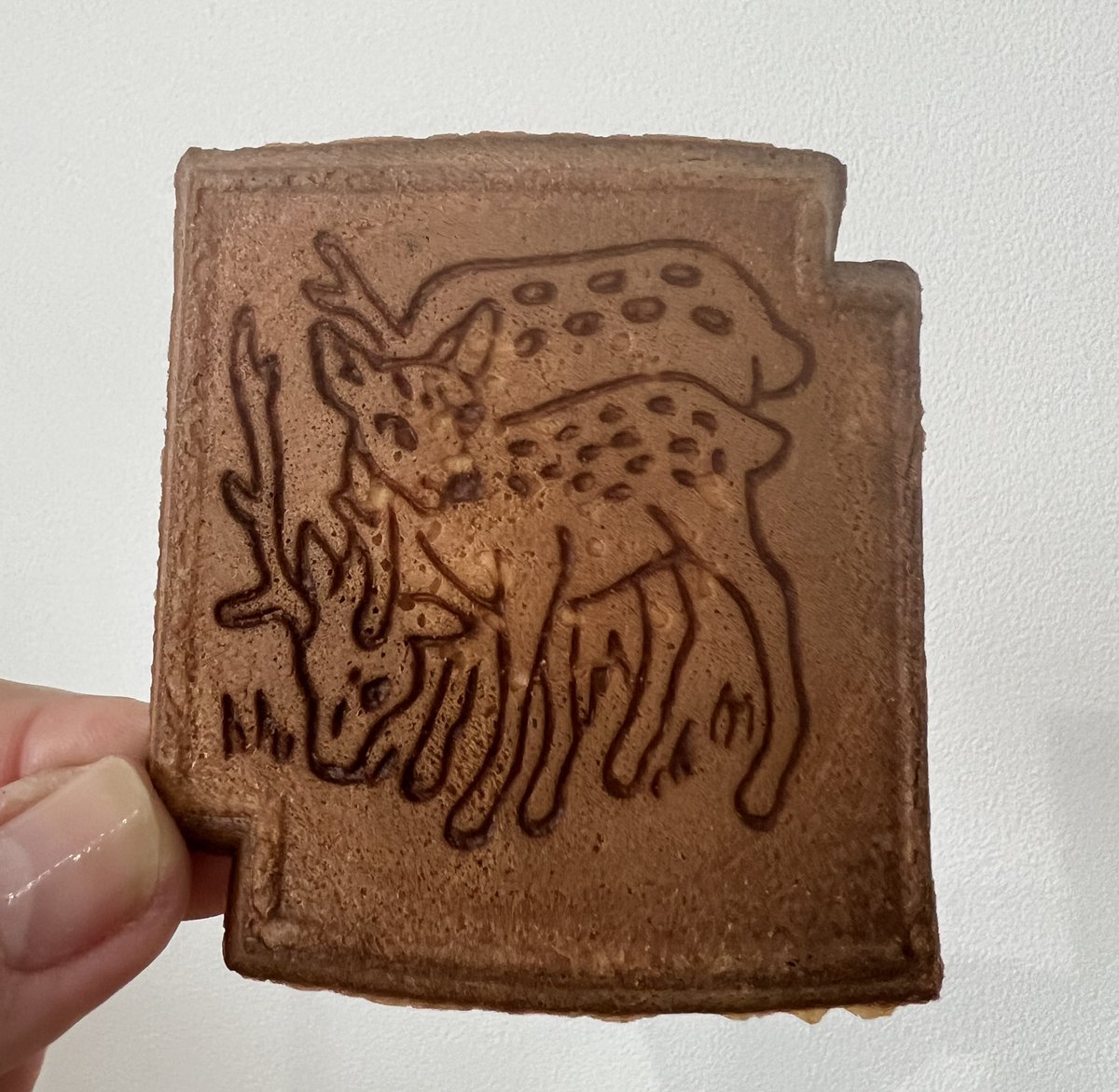 奈良で買った瓦煎餅（人間用です）