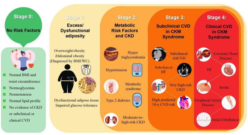 Jasmine Sethi tweet media
