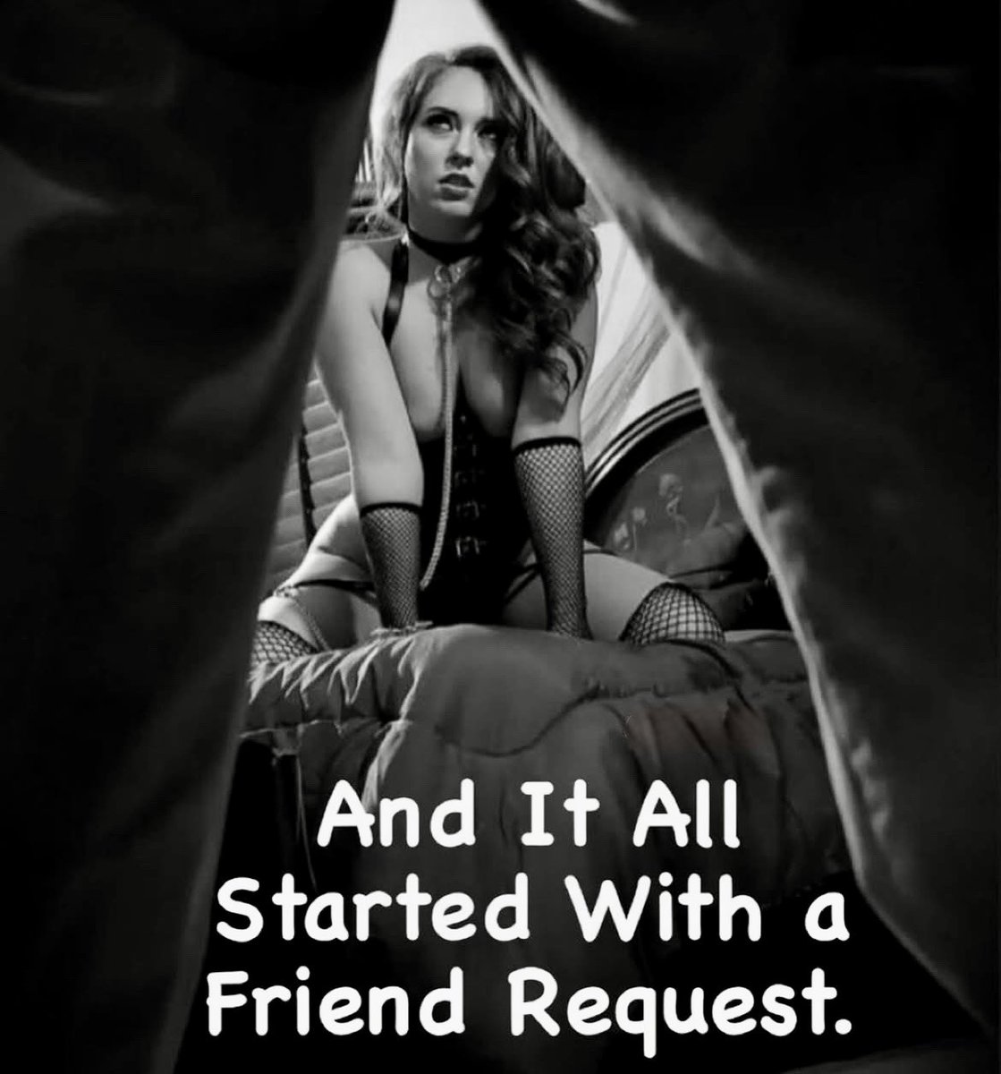 Hotwife & Girlfriend’s Club (@hotwife_club_) on Twitter photo 