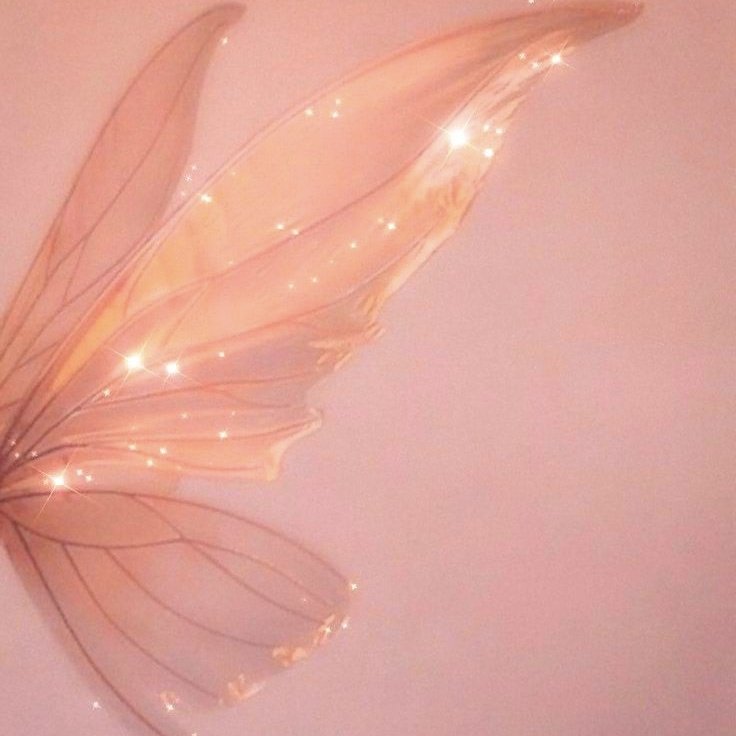 ⋆ ˚˖  𓍢ִ໋  ࣪˖   ִֶָ  sun-kissed and spellbound  ִֶָ  ִֶָ