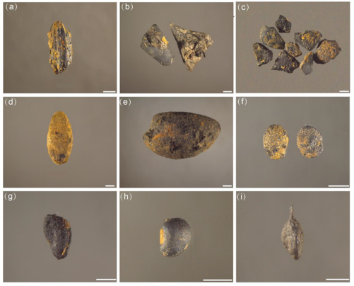 DailyBeijing's tweet image. The Baojia site in Liyang, Changzhou, Jiangsu Province, #China, has been dated to 7,500 to 8,100 years ago, making it the earliest known prehistoric #site discovered so far in the area surrounding Taihu Lake. #archeology #archeologylovers #discovery