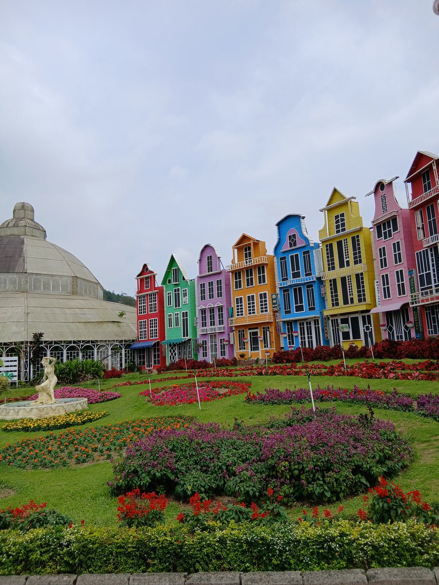 Wonderasy's tweet image. Samsung camera without filter