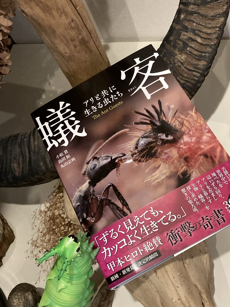 Hanamusic （ハナムシック） (@Hanamusic_toy) / Posts / X