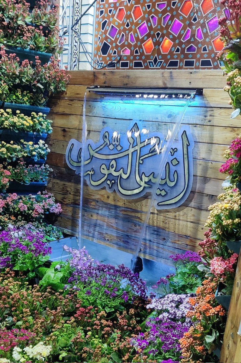 به تو میشود تمام حرف ها را گفت یا انیس النفوس💔

#الرئوف🌹