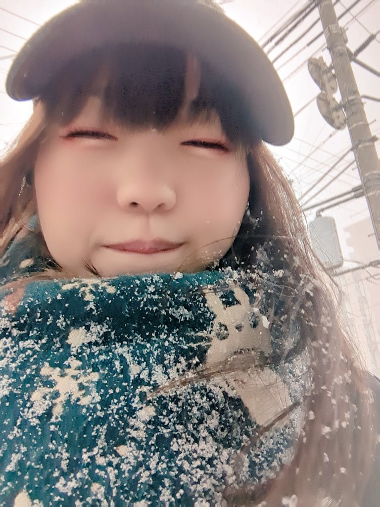 はらちゃん🧸 (@harachan444) / Posts / X