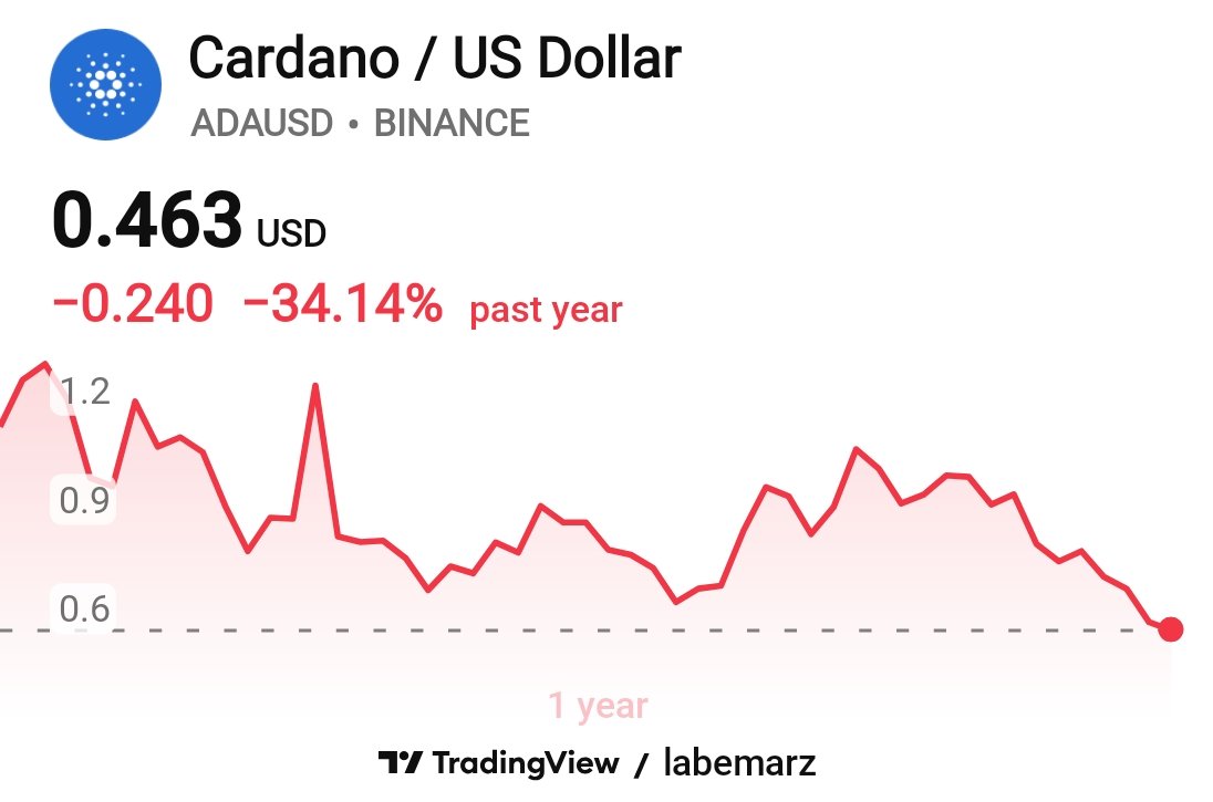 amirxpic's tweet image. I’m not a market analyst, but I genuinely believe Cardano is sitting near a price we’ll regret not buying in the future. 🤞🚀
#cardano #ada