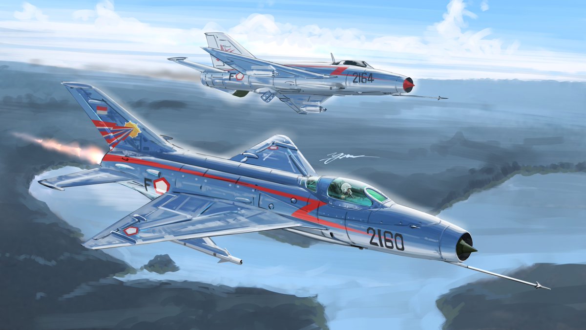 _kudryavka_erla's tweet image. MiG-21