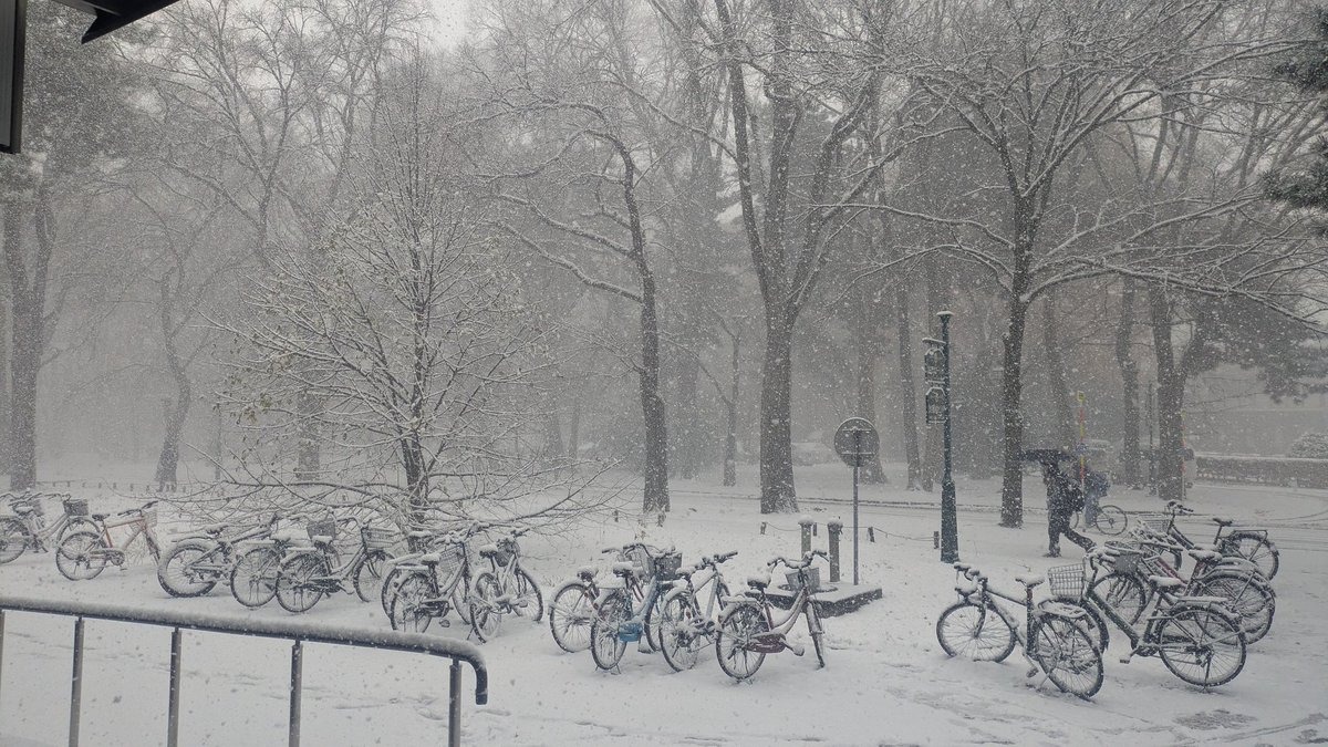 cat__nuko__math's tweet image. こーいう景色見ると、関西学院抜け出して北大まで来てよかったなぁと感じる