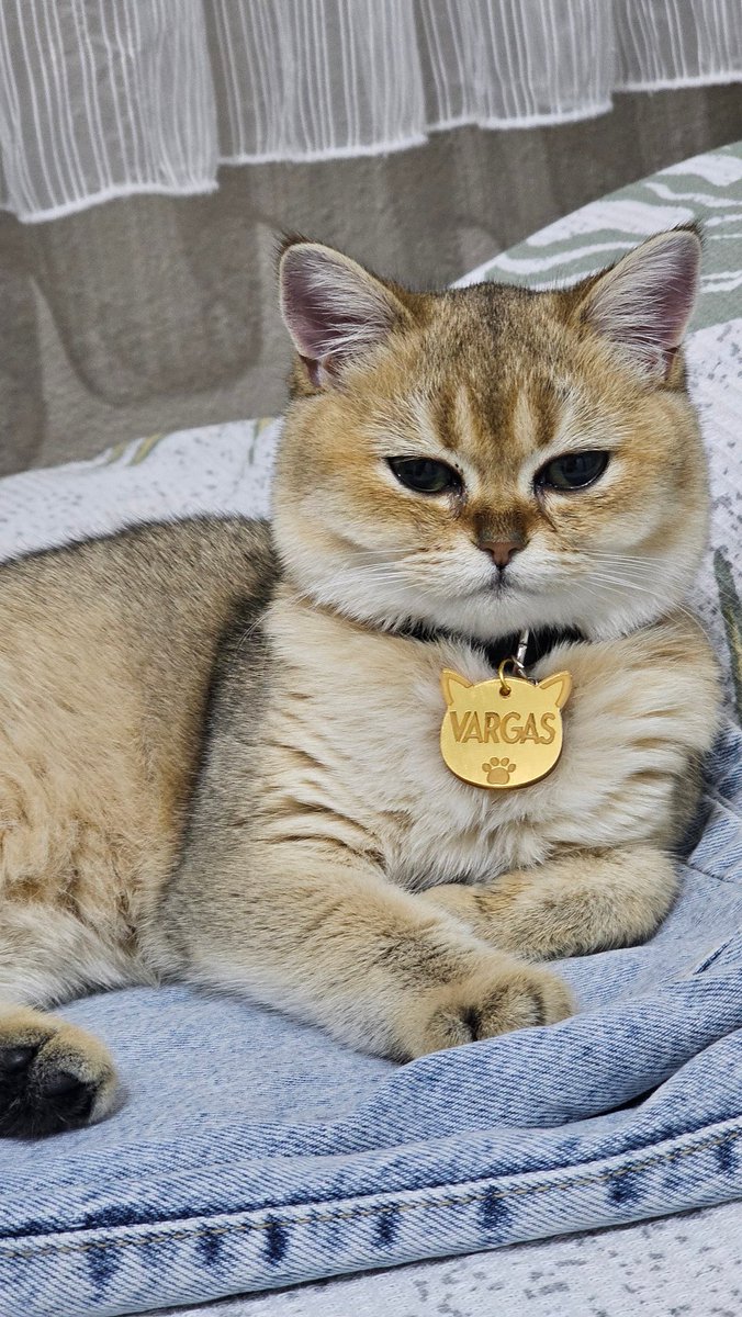 VARGAS✨💅