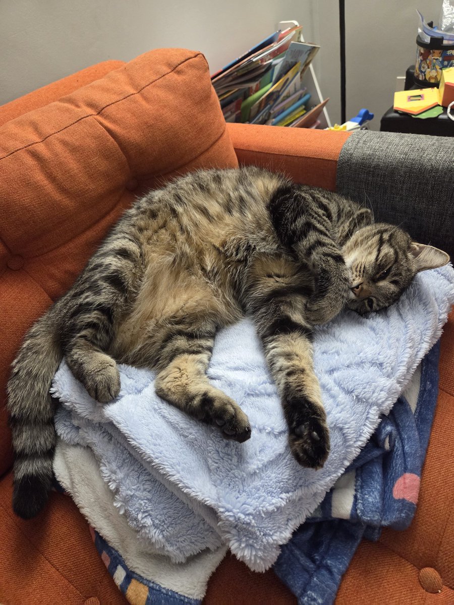 wxnerd's tweet image. peak cozy