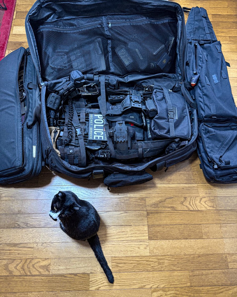 とりがー🇺🇸USSS CAT FUN🐈‍⬛🐾 (@shizuokap_17) / Posts / X