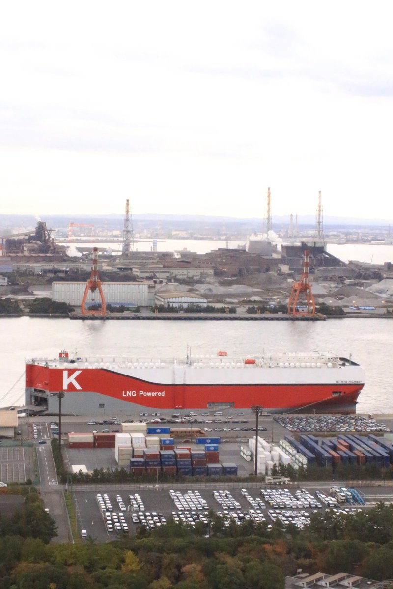 うめちゃん (@t7XUrkaYgvlSBPE) / Posts / X